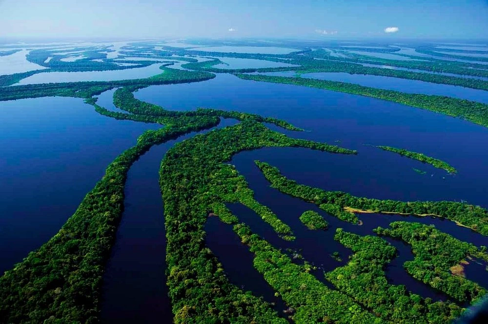 As belezas das Anavilhanas no Amazonas.